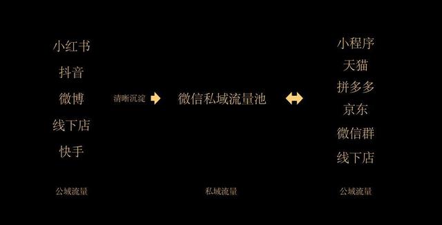 「大私域流量」：抖音、微信圈子、下沉市场分别怎么玩？