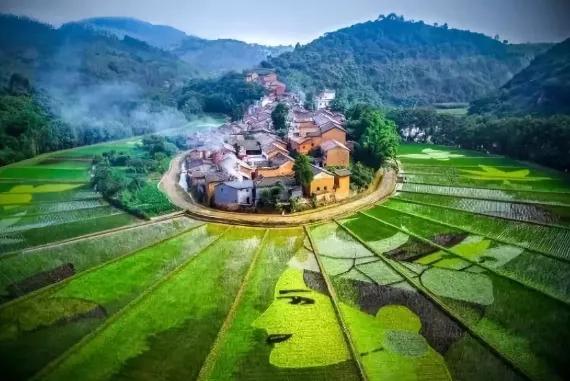 弥勒市文山州:丘北县普洱市:思茅区,西盟县西双版纳州:景洪市,勐腊县