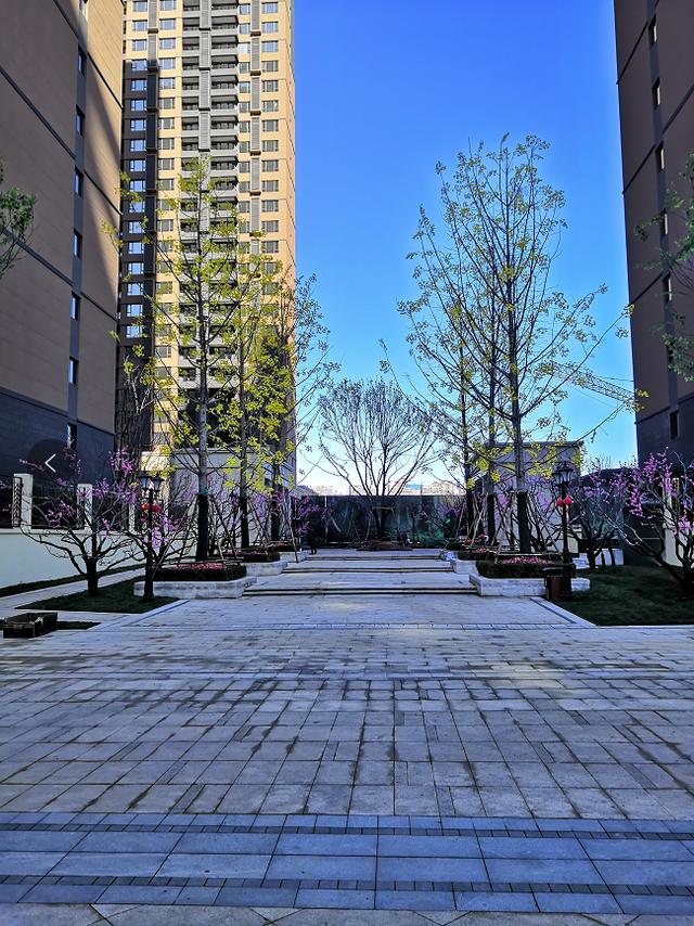 业主无忧民生地产恒大半岛天境如期交楼