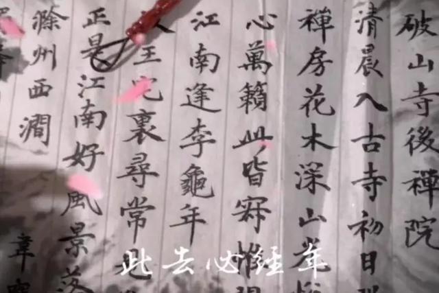 为爱发声 | 致敬护士队伍 携手战胜疫情