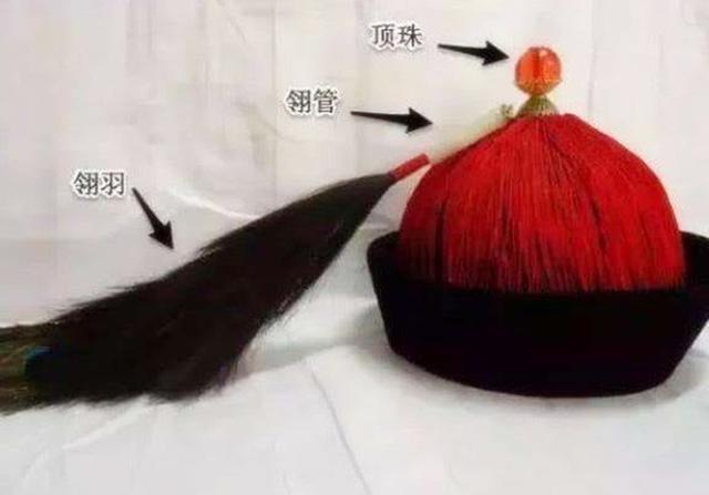 翎是什么意思(翎的形旁)