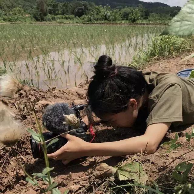 李子柒的微博头像她多才多艺,动手能力极强,她能下田干农活,制作