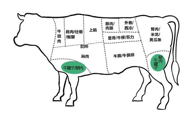 牛前是牛肉的哪个部位