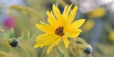 生物工程专业前景如何？好就业吗？1日华东理工教授为你解答