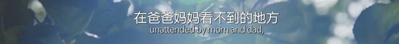 如果海子活到现在，他也会和北岛一样被骂吗？