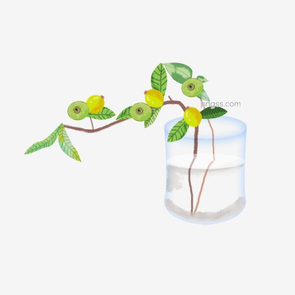 水彩手绘琵琶水植物png搜索网 精选免抠素材 透明png图片分享下载 Pngss Com