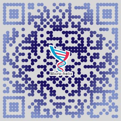 华东师大团队再次开发新碱基编辑器：同时改变两种碱基的A&C-BEmax