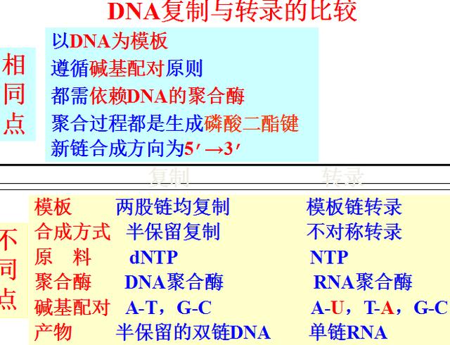 组氨酸密码子(20种氨基酸的密码子表)