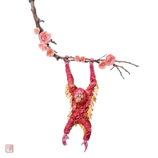 这些植物都有一颗做小动物的心说不定什么时候就变身了