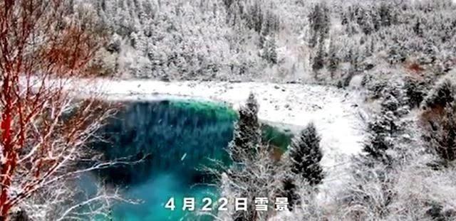 九寨沟连续三天下雪如梦似幻，你想不想去看？