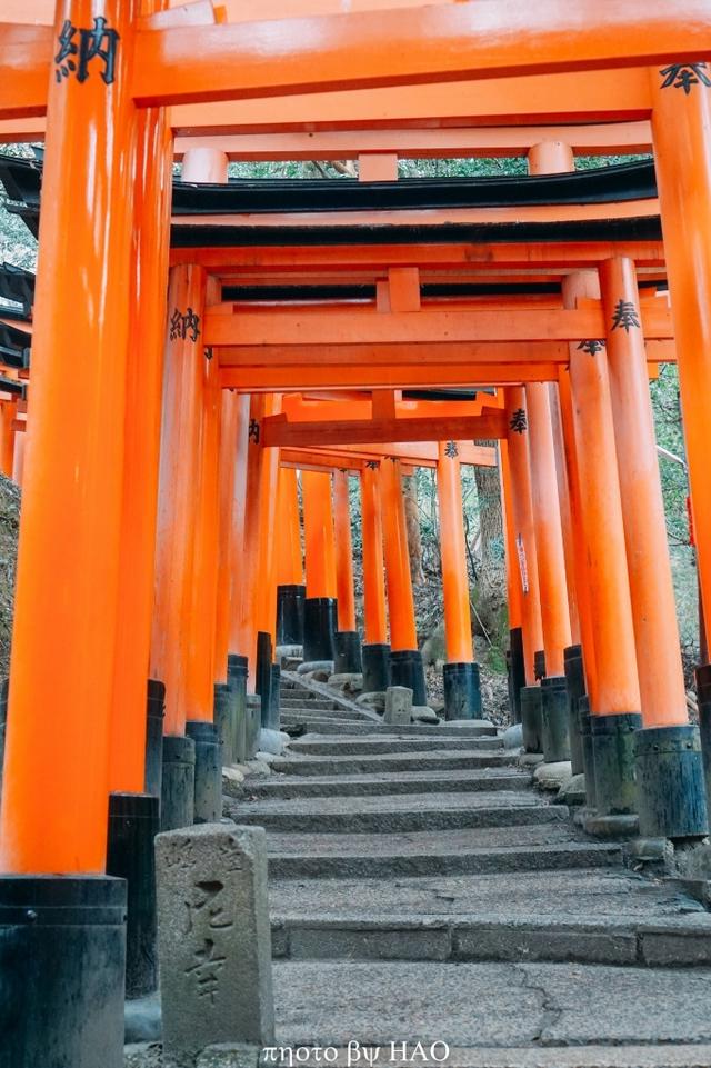 京都 的印象,除了清水寺的全景,就是伏见稻荷 大社 那满眼橙红的鸟居