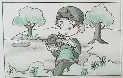 一二年级看图写话满分范文，精选50篇-跟我学语文