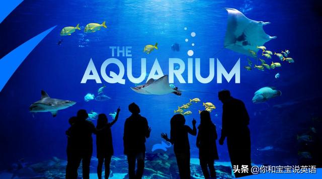 海洋馆网络释义海洋馆:theoceanspavilionaquariumatollreef