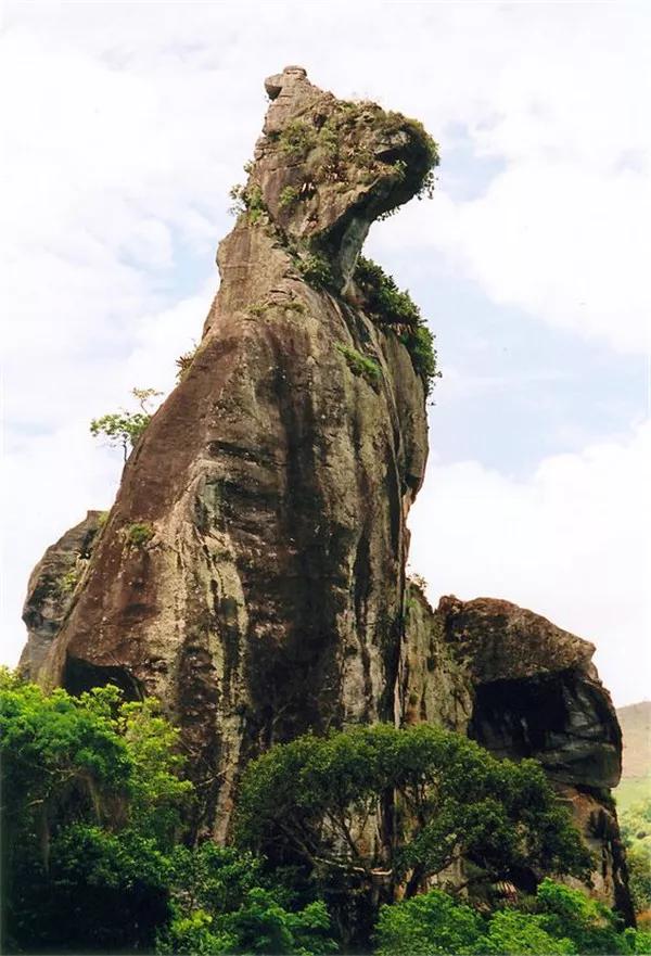 一只刺猬,也有人说是一只猪扶着什么仔细看就能看到一张人脸好整齐的