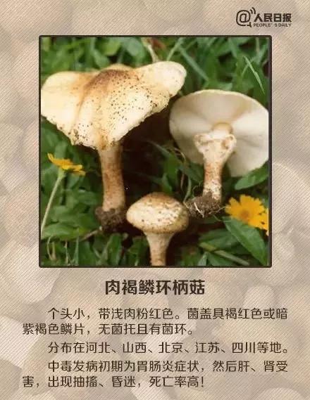 e0715f043e1e4fd6b55ff3a39e71c9a2