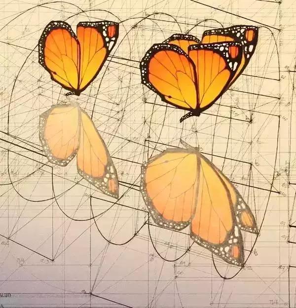 理科生尺规作图中诞生的几何美学