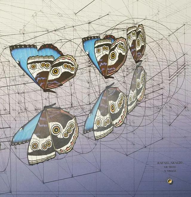 理科生尺规作图中诞生的几何美学