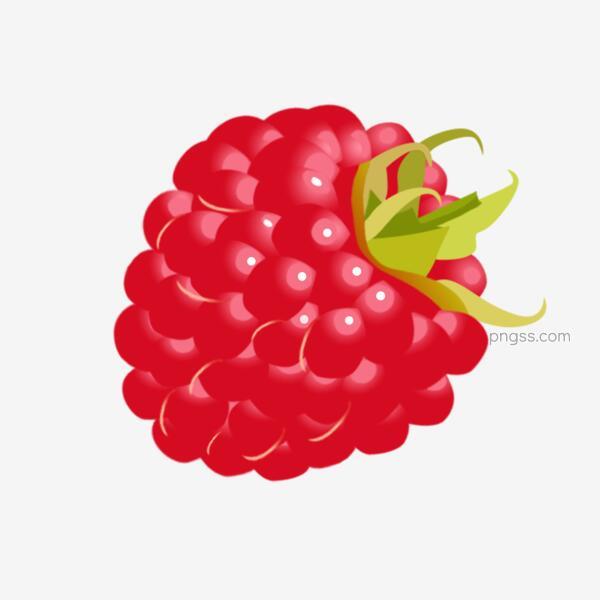卡通红色树莓水果png搜索网 精选免抠素材 透明png图片分享下载 Pngss Com