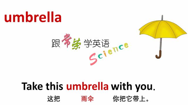 umbrella是什么意思(umbrella怎么读音)