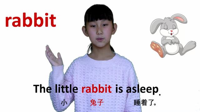 兔子用英语怎么说(兔子英语怎么说读发音)