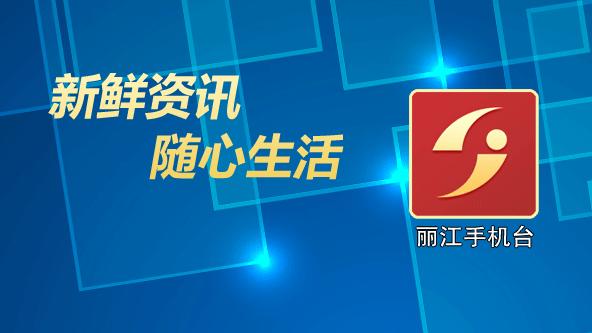 金安桥水电站安全监测自动化设计