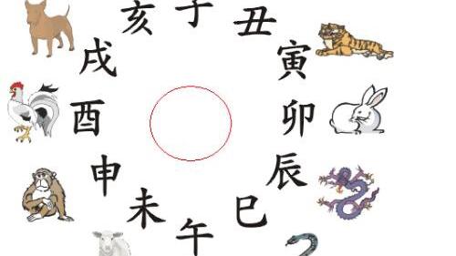 羊头怎么砍开