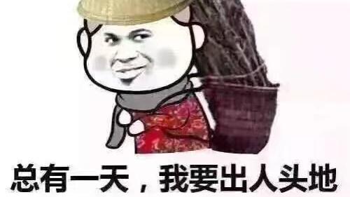 华为是中国最优秀的企业吗