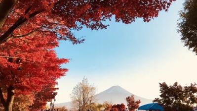早稻田言语学院怎么样