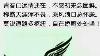 怎么在自己的微信記錄里寫詩句