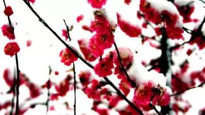 唐詩宋詞比較全的
