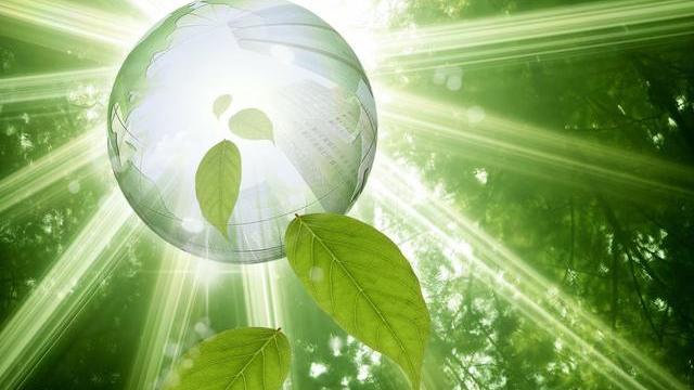 《地震中的父与子》优秀教案