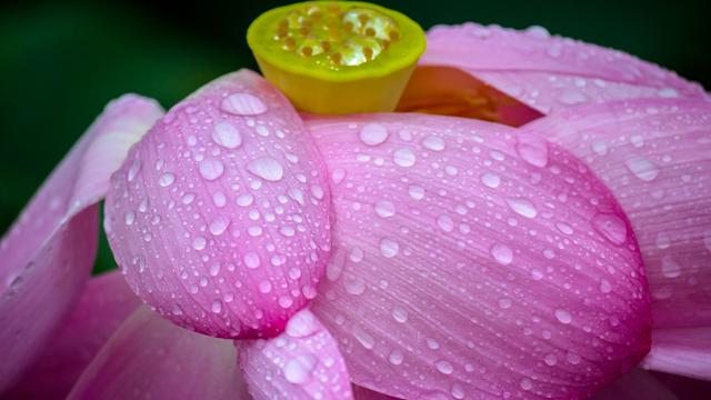 雨晴古诗翻译赏析