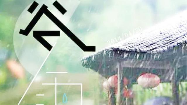 谷雨的诗句古诗和谚语