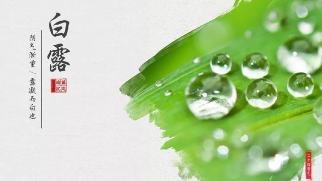 白露节气诗词