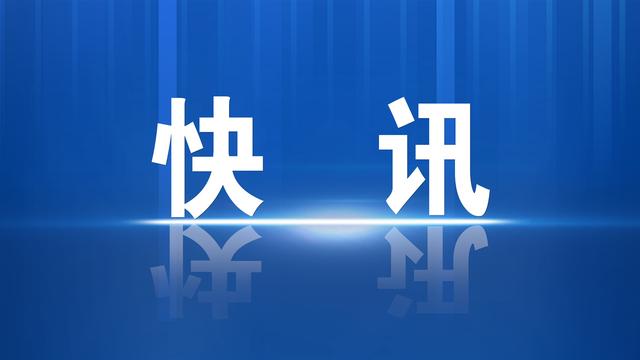 损失报告10篇