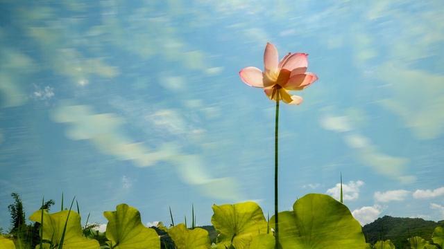 古诗中的节气诗句