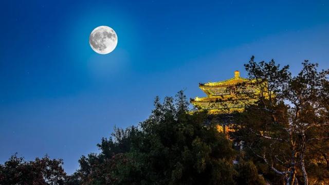 经典的月亮和酒的诗句