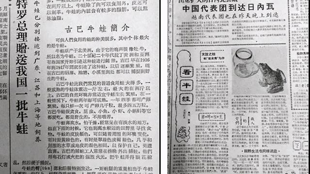 李义明:探究岛屿动物体形变化规律