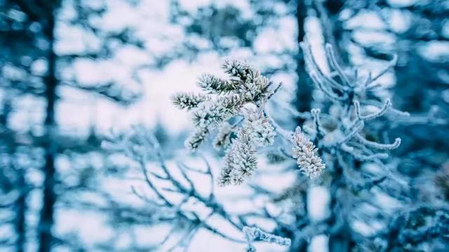 咏雪的古诗文10篇