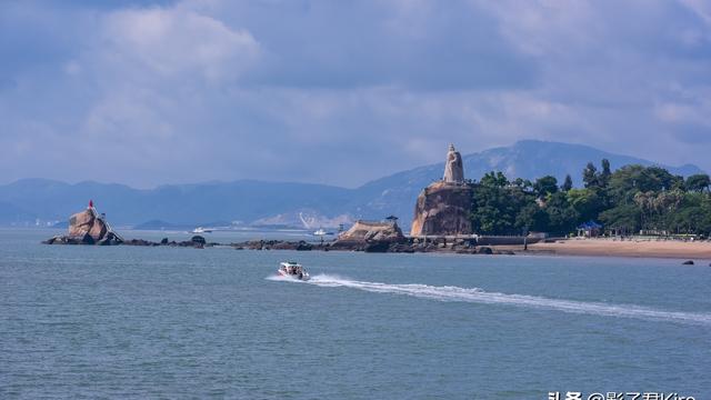 “海燕窝”并没有那么神