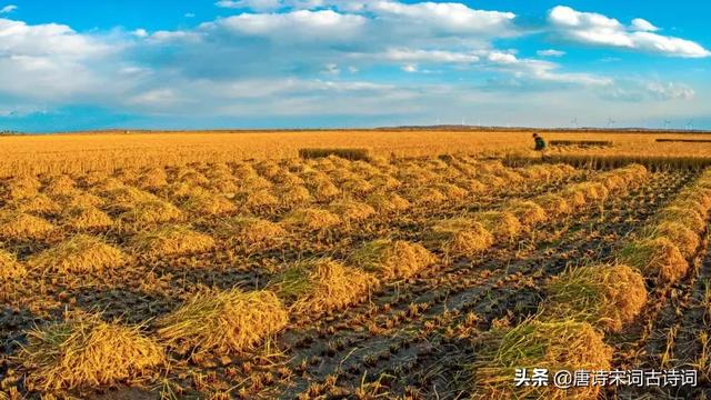 果满枝头的诗句