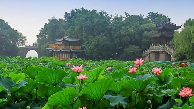 杨万里西湖六月诗句