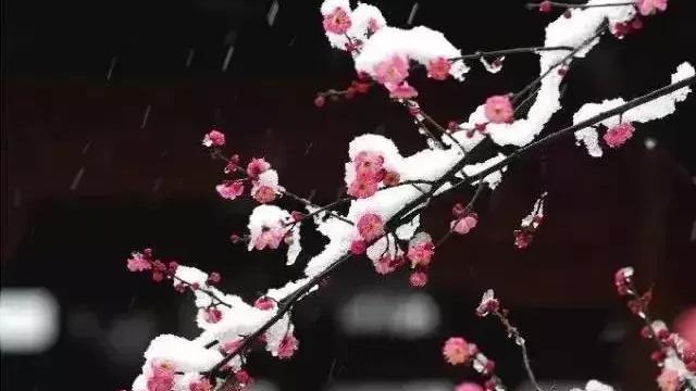 描写大雪的古诗