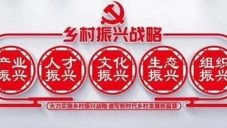 农村住宅调研报告精选