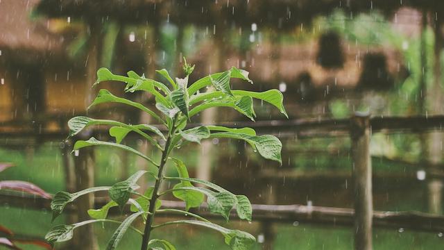 描写雨大的词语