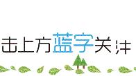 表示热闹的词语有哪些