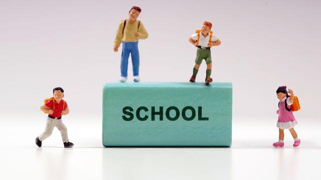 深圳小学入学积分如何查询
