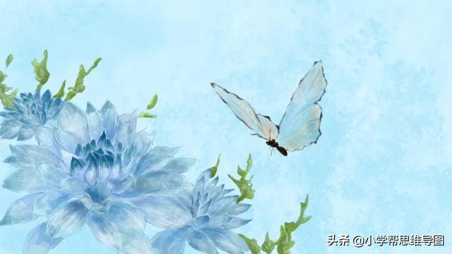 描写昆虫的优美句子及赏析