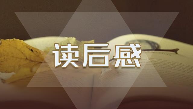 红楼梦读书心得体会