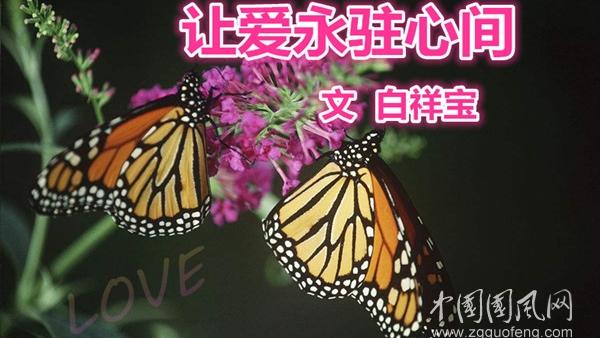 让爱永驻心中演讲稿集合